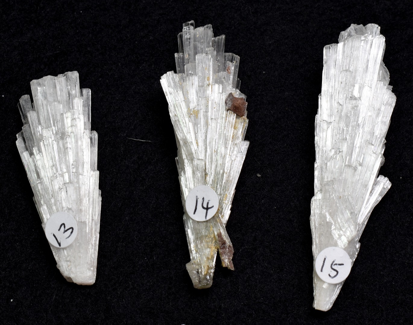 Natural Scolecite Spray, Synergy 12, Raw Crystal Specimen from India - 1 Count - 6 Sizes - Image 4