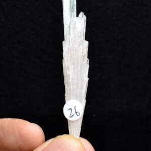 Natural Scolecite Spray, Synergy 12, Raw Crystal Specimen from India - 1 Count - 5 Sizes