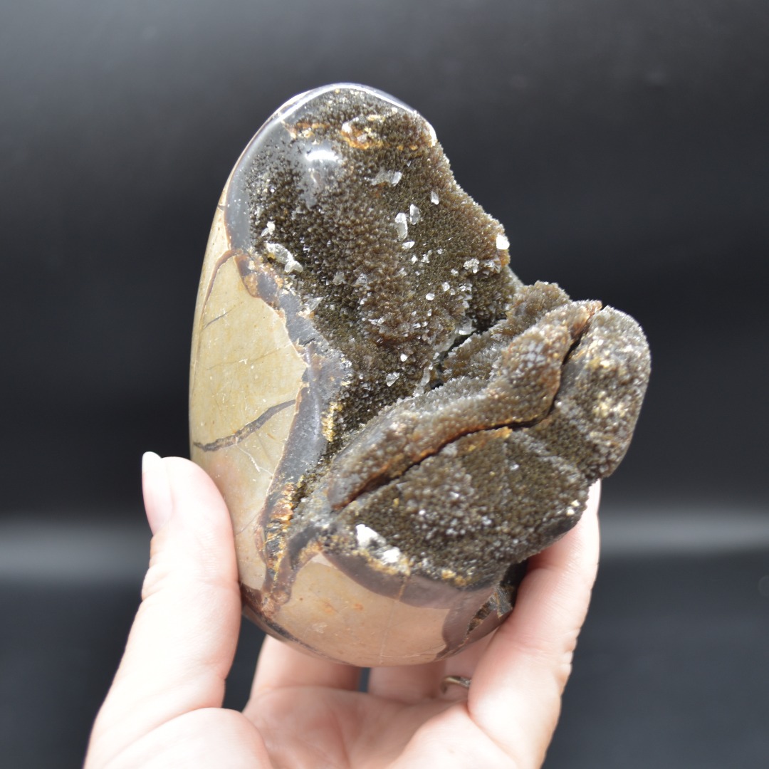 Large Black Septarian (AKA Dragon Stone) Crystal Freeform - 10.3cm - 775 grams #03 - Image 7