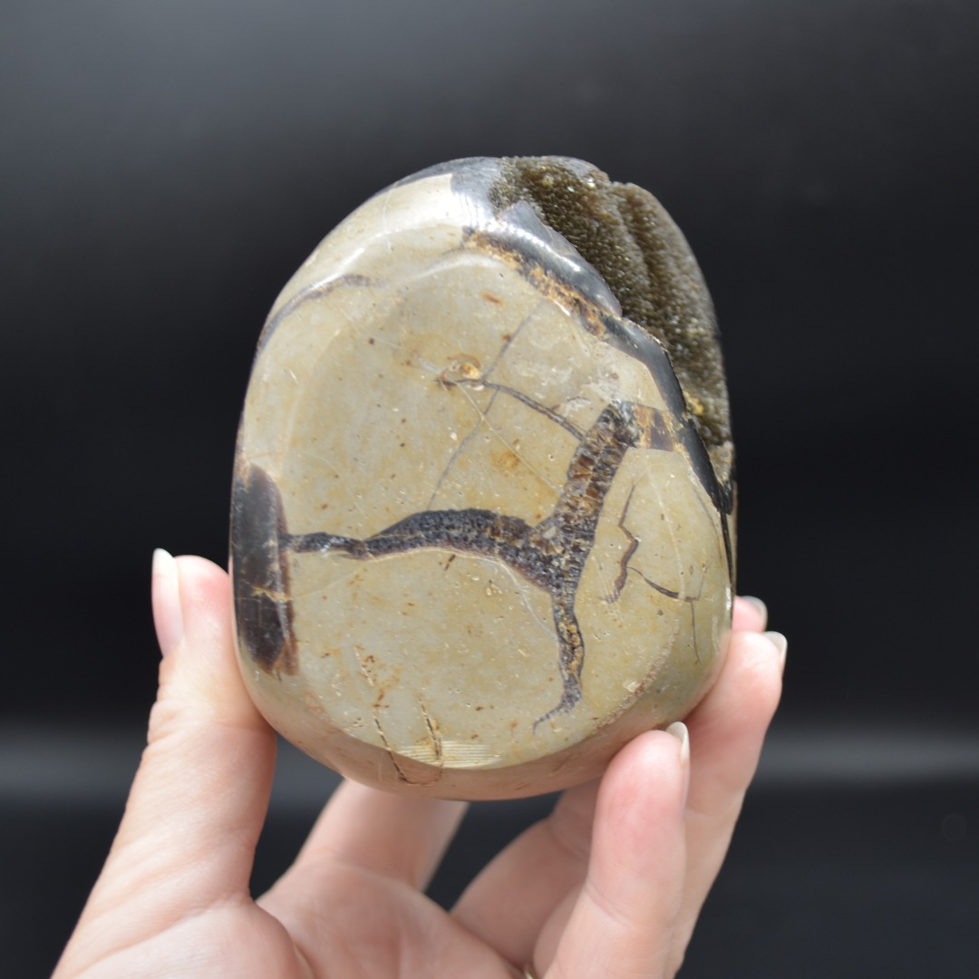 Large Black Septarian (AKA Dragon Stone) Crystal Freeform - 10.3cm - 775 grams #03 - Image 8