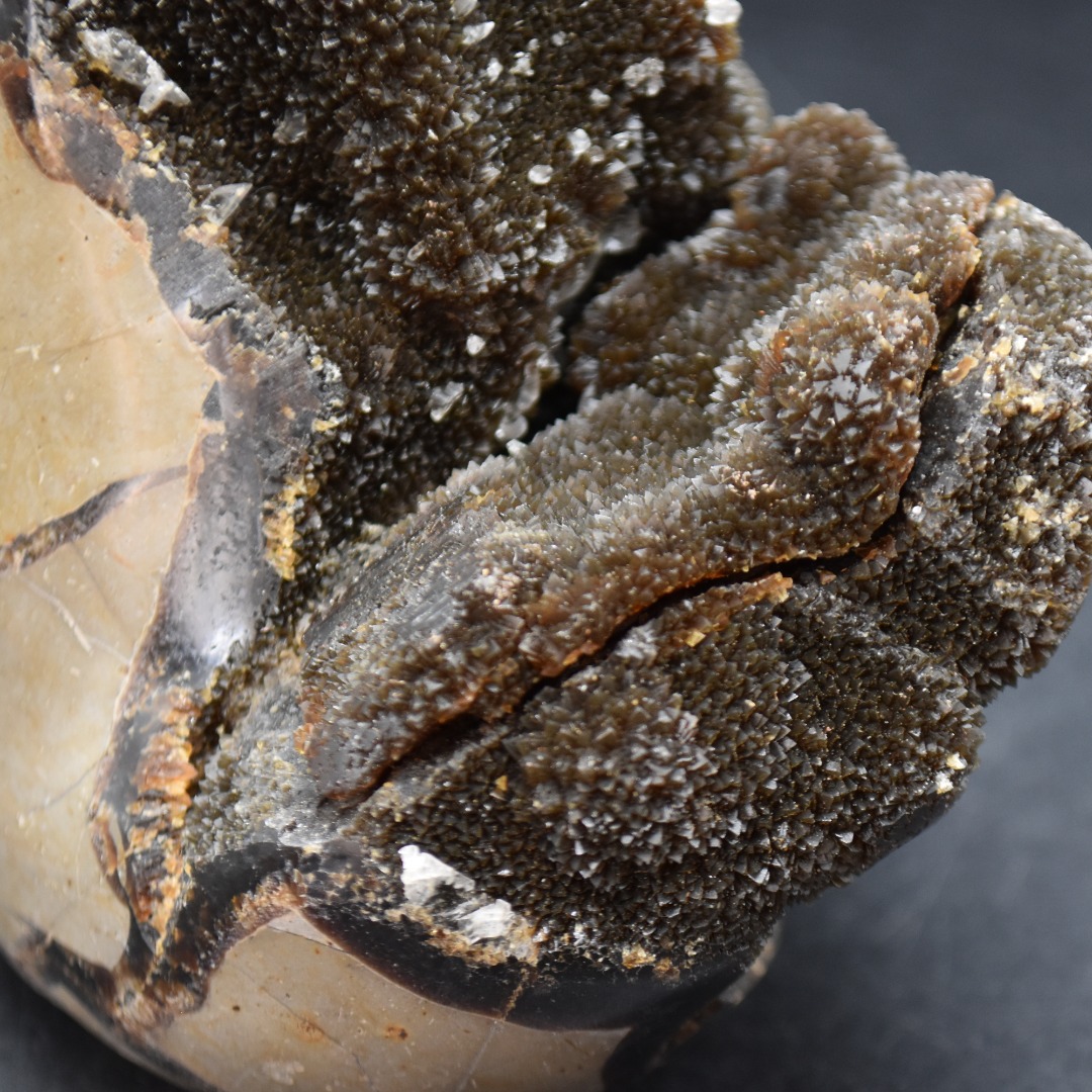 Large Black Septarian (AKA Dragon Stone) Crystal Freeform - 10.3cm - 775 grams #03 - Image 6