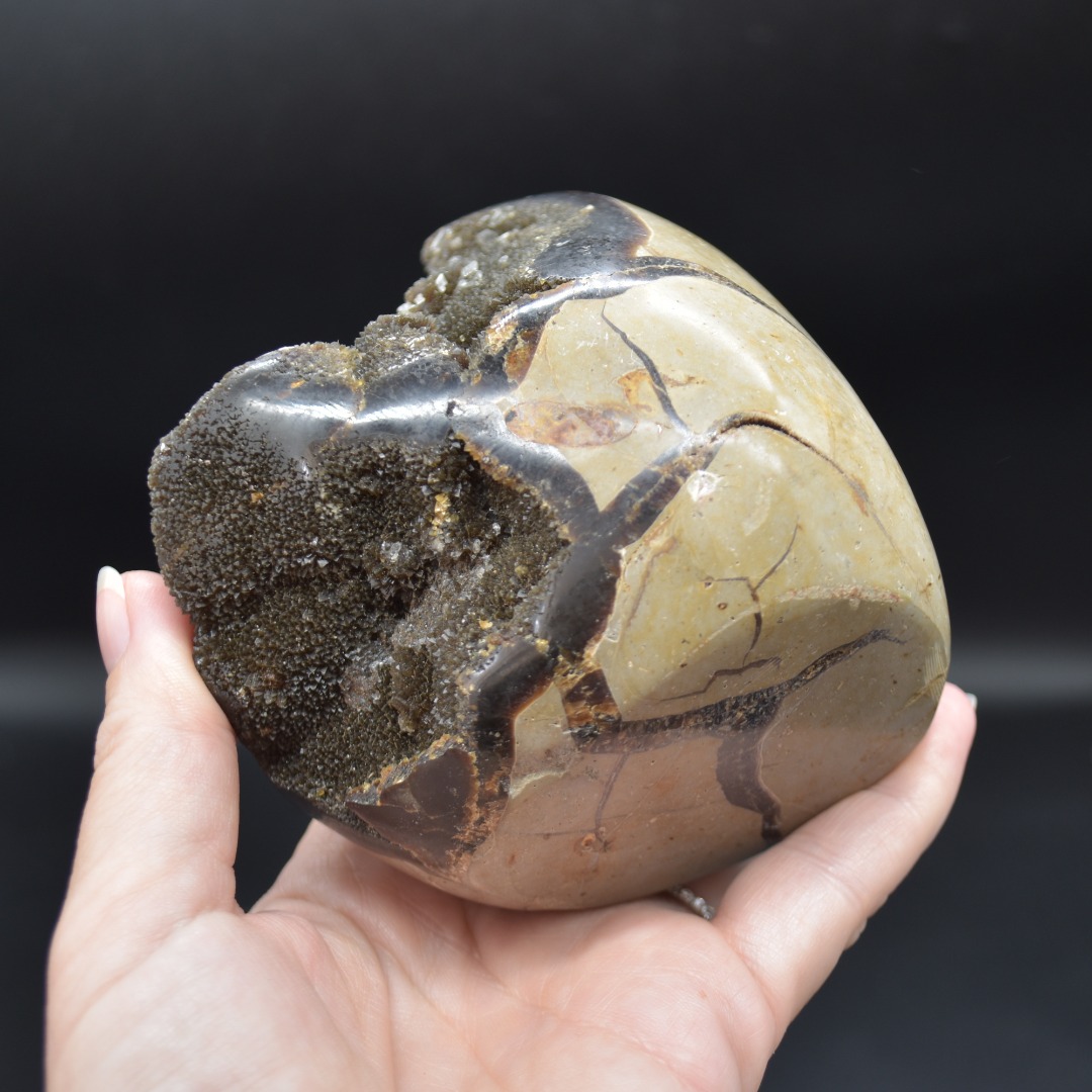 Large Black Septarian (AKA Dragon Stone) Crystal Freeform - 10.3cm - 775 grams #03 - Image 9