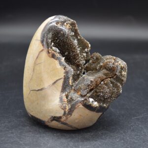 Large Black Septarian (AKA Dragon Stone) Crystal Freeform - 10.3cm - 775 grams #03