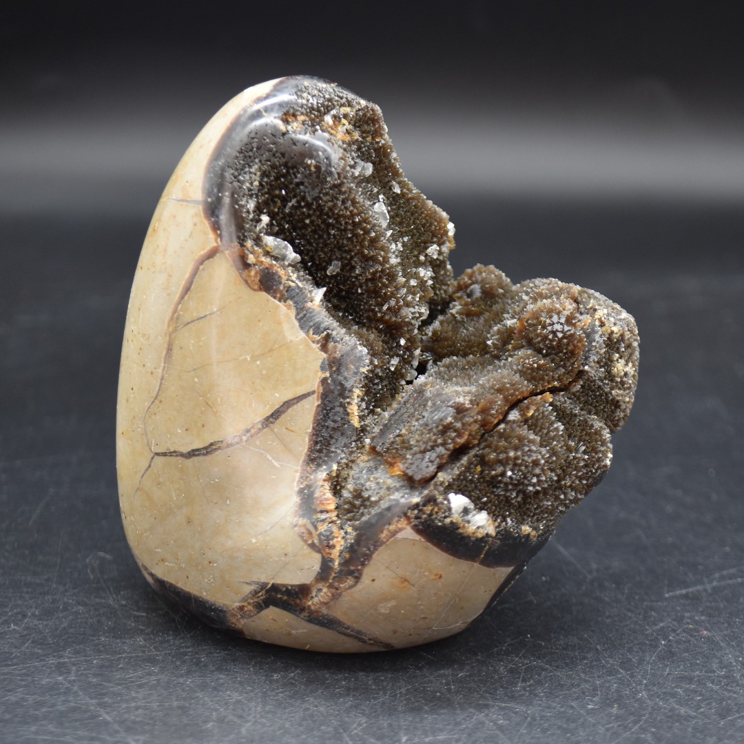 Large Black Septarian (AKA Dragon Stone) Crystal Freeform - 10.3cm - 775 grams #03