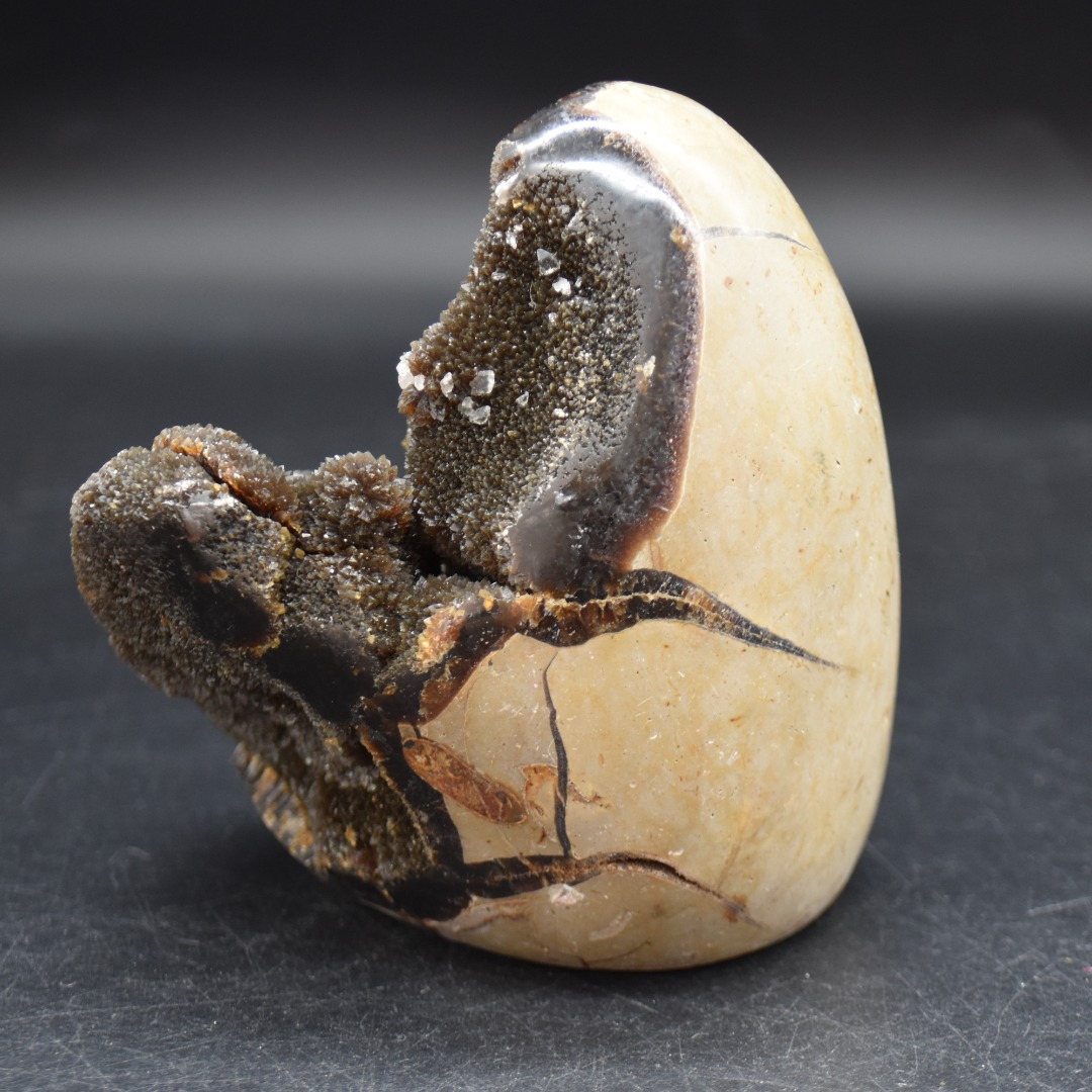 Large Black Septarian (AKA Dragon Stone) Crystal Freeform - 10.3cm - 775 grams #03 - Image 3