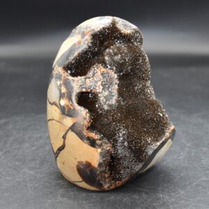 Large Black Septarian (AKA Dragon Stone) Crystal Freeform - 9.8cm - 762 grams #04