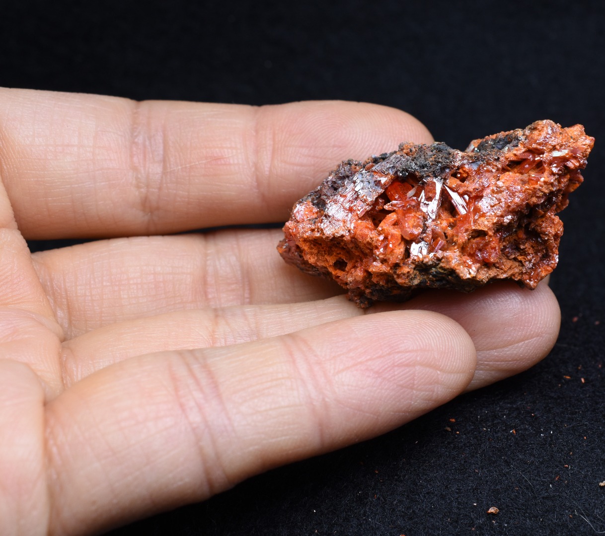 Crocoite Rare Mineral, from Red Lead Mine, Tasmania, Australia - 28 grams - 4.5cm #04 - Image 7