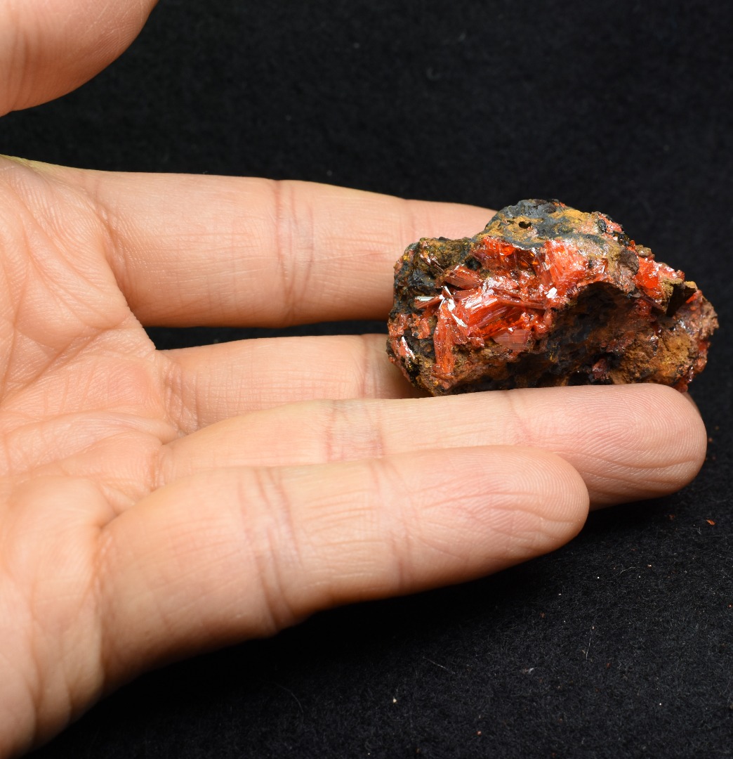 Crocoite Rare Mineral, from Red Lead Mine, Tasmania, Australia - 40 grams - 4cm #15 - Image 5