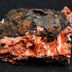 Crocoite Rare Mineral, from Red Lead Mine, Tasmania, Australia - 50 grams - 4.5cm #18