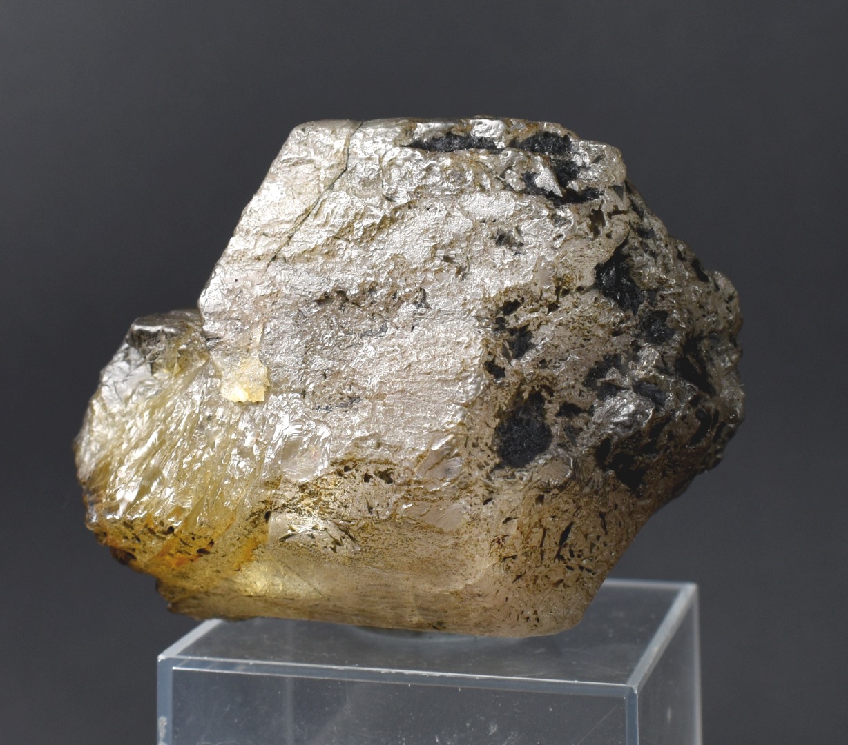 Phenakite, Phenacite VERY RARE Terminated Large Crystal Specimen from Brazil - 1 Count - 103 grams, 515 carats