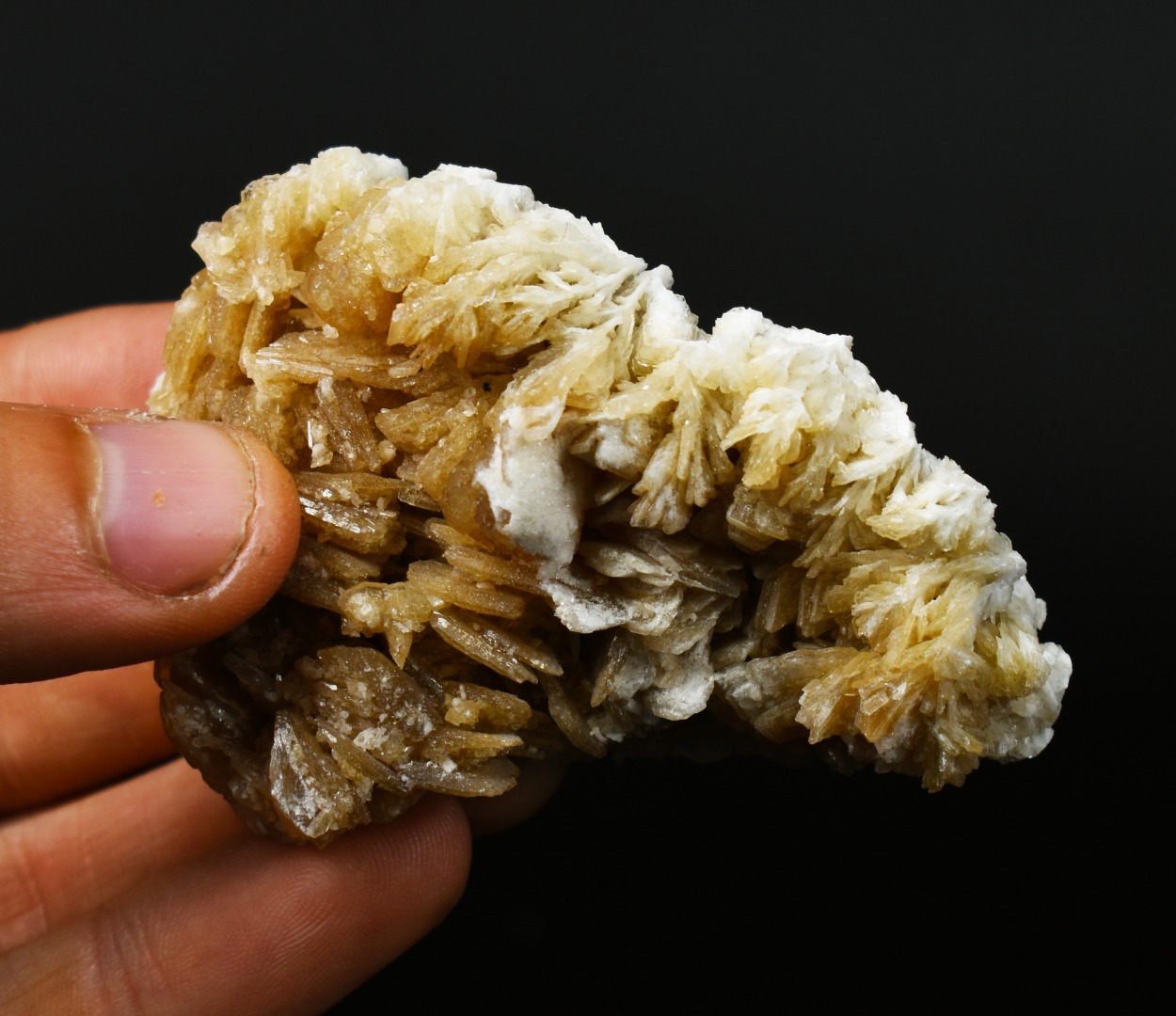 Barite, Baryte Crystal Cluster Mineral From Los Angeles County California USA - 87 grams - Image 8