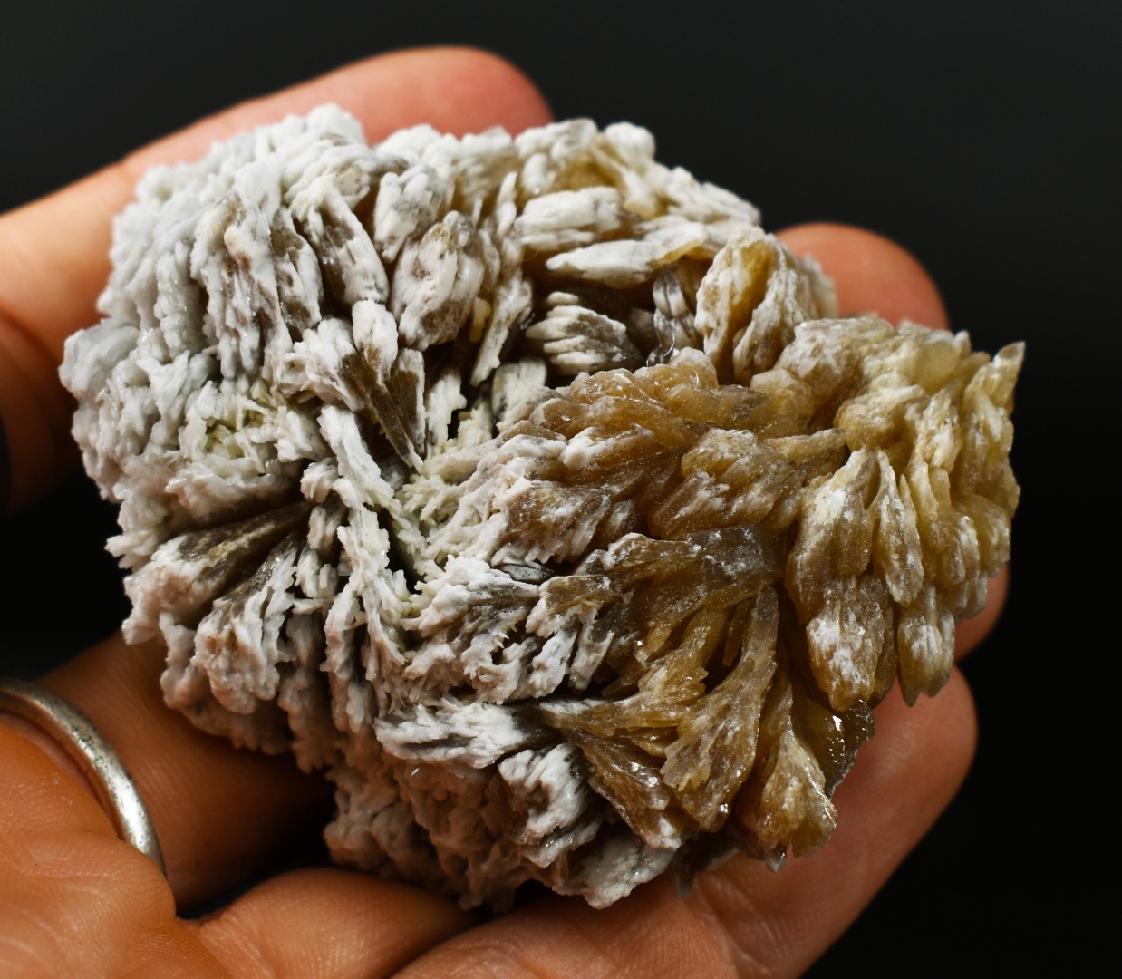 Barite, Baryte Crystal Cluster Mineral From Los Angeles County California USA - 133 grams - Image 5