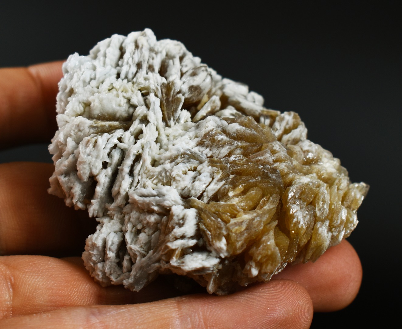 Barite, Baryte Crystal Cluster Mineral From Los Angeles County California USA - 133 grams - Image 6
