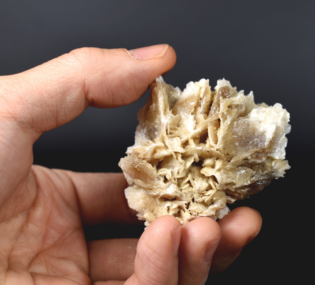 Barite, Baryte Crystal Cluster Mineral From Los Angeles County California USA - 98 grams - Image 6