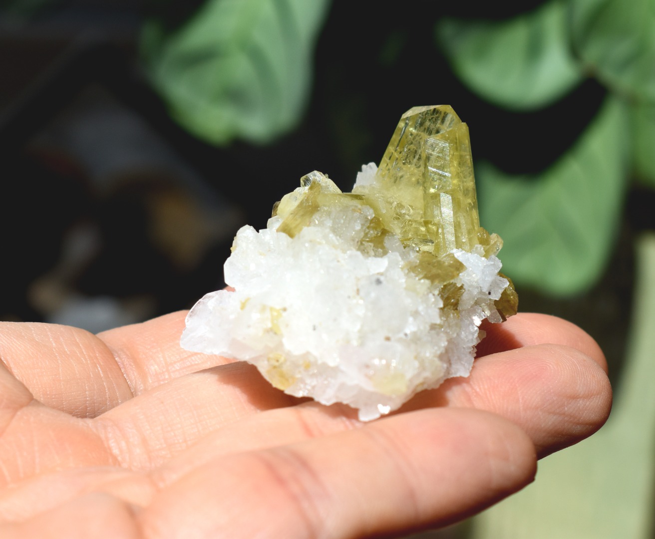 Brazilianite Crystal Cluster with Albite & Muscovite - from Linopolis, Minas Gerais, Brazil, museum quality, 36g - Image 8