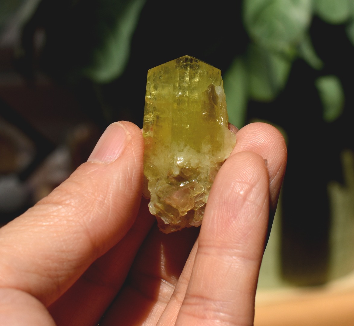Brazilianite Crystal Cluster with Albite & Muscovite - from Linopolis, Minas Gerais, Brazil, museum quality, 18g - Image 9