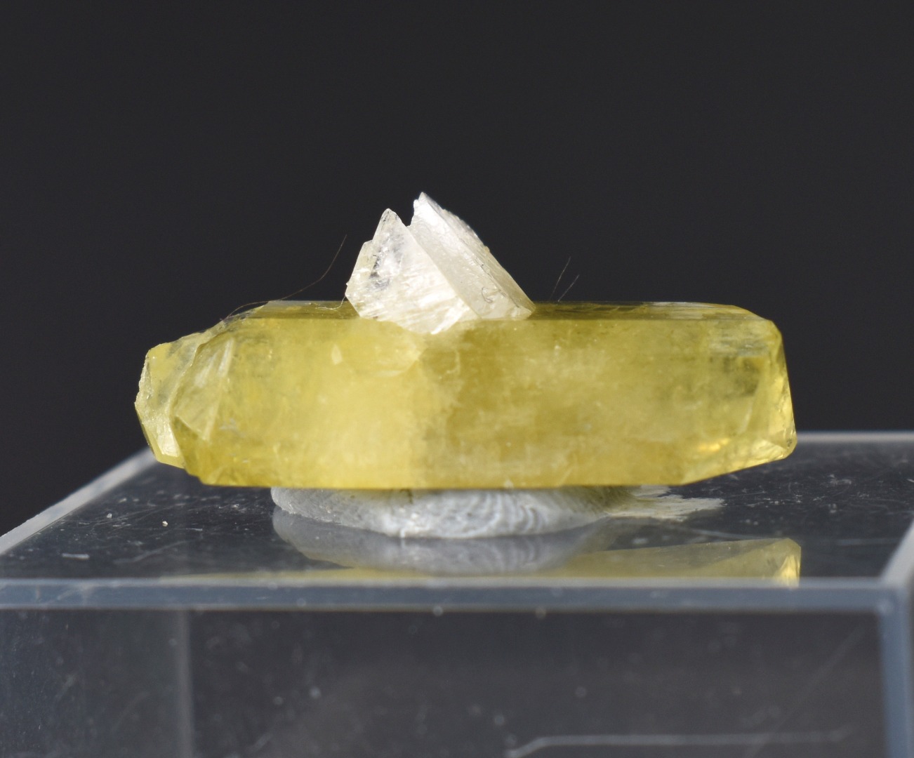 Brazilianite Crystal Cluster with Albite & Muscovite - from Linopolis, Minas Gerais, Brazil, museum quality, 3.5g - Image 5