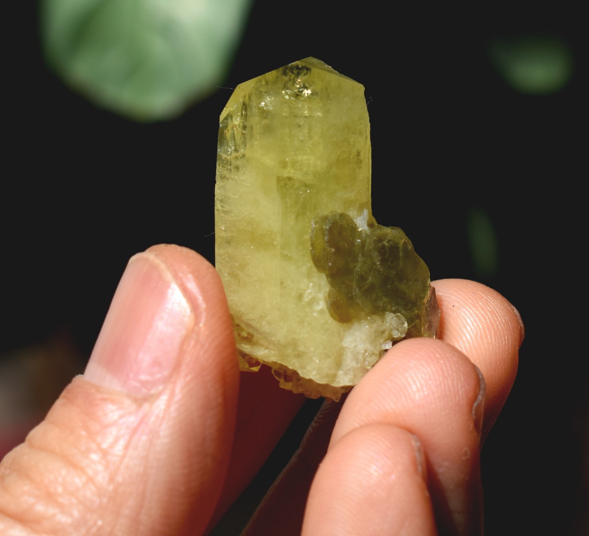 Brazilianite Crystal Cluster with Muscovite - from Linopolis, Minas Gerais, Brazil, museum quality, 9.8g - Image 8