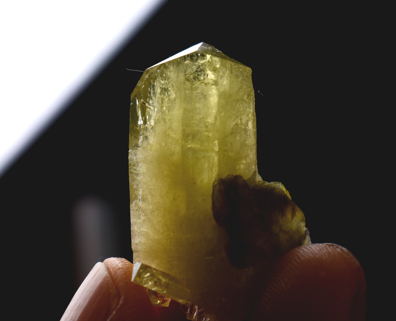 Brazilianite Crystal Cluster with Muscovite - from Linopolis, Minas Gerais, Brazil, museum quality, 9.8g - Image 7