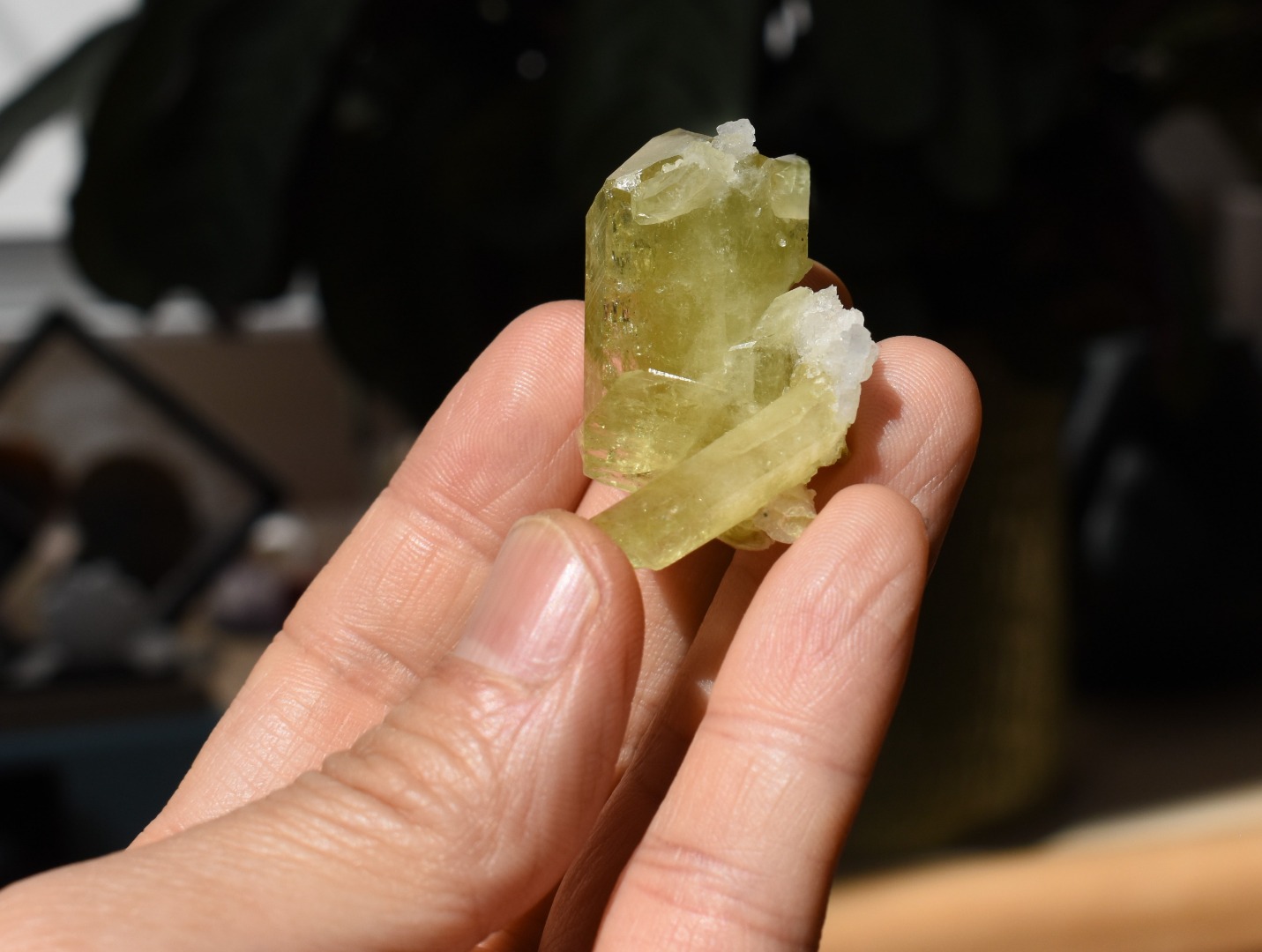 Brazilianite Crystal Cluster with Albite & Muscovite - from Linopolis, Minas Gerais, Brazil, museum quality, 24g - Image 10