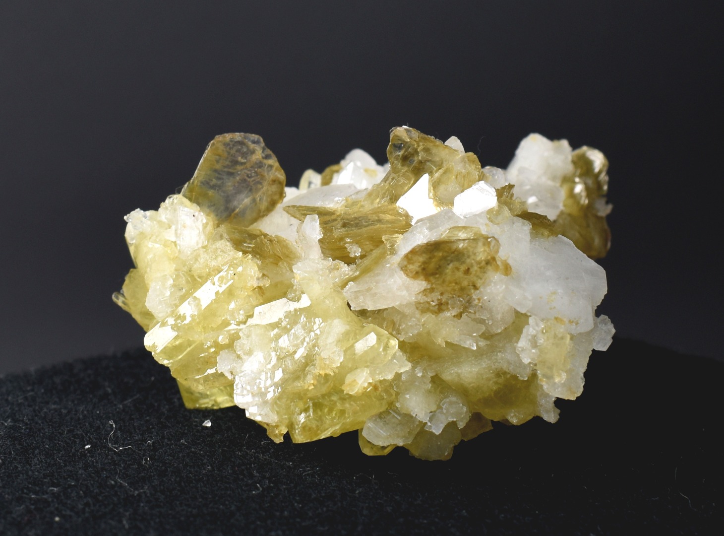 Brazilianite Crystal Cluster with Albite, Muscovite, Black Tourmaline - from Linopolis, Minas Gerais, Brazil, museum quality, 59.8g - Image 3