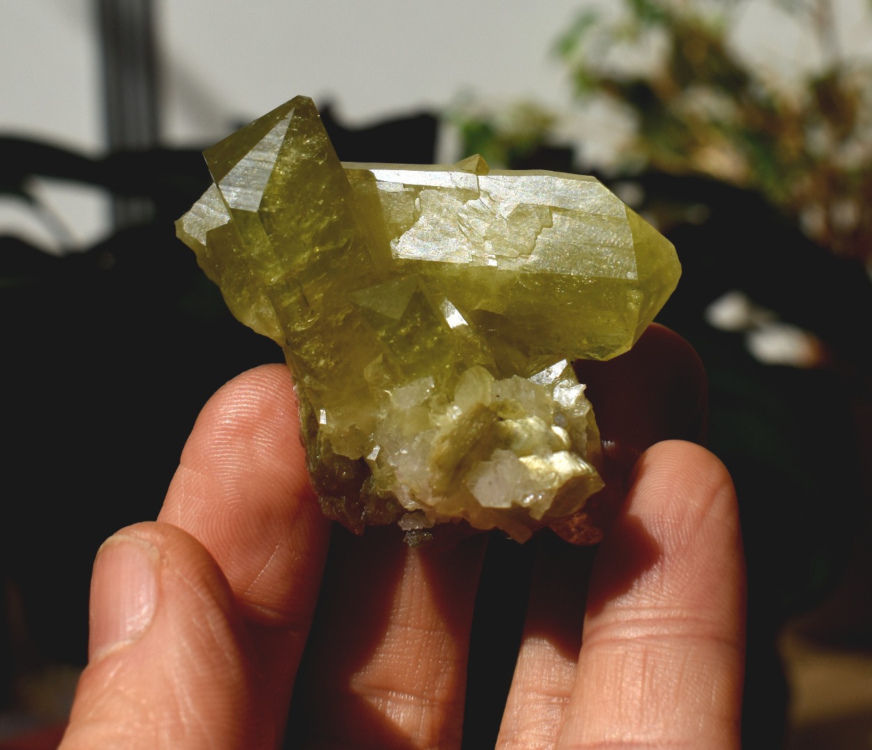 Brazilianite Crystal Cluster with Albite & Muscovite - from Linopolis, Minas Gerais, Brazil, museum quality, 46g - Image 9