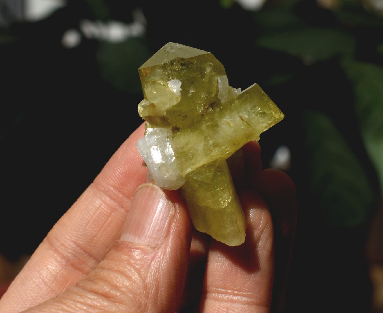 Brazilianite Crystal Cluster with Albite & Muscovite - from Linopolis, Minas Gerais, Brazil, museum quality, 28g - Image 7