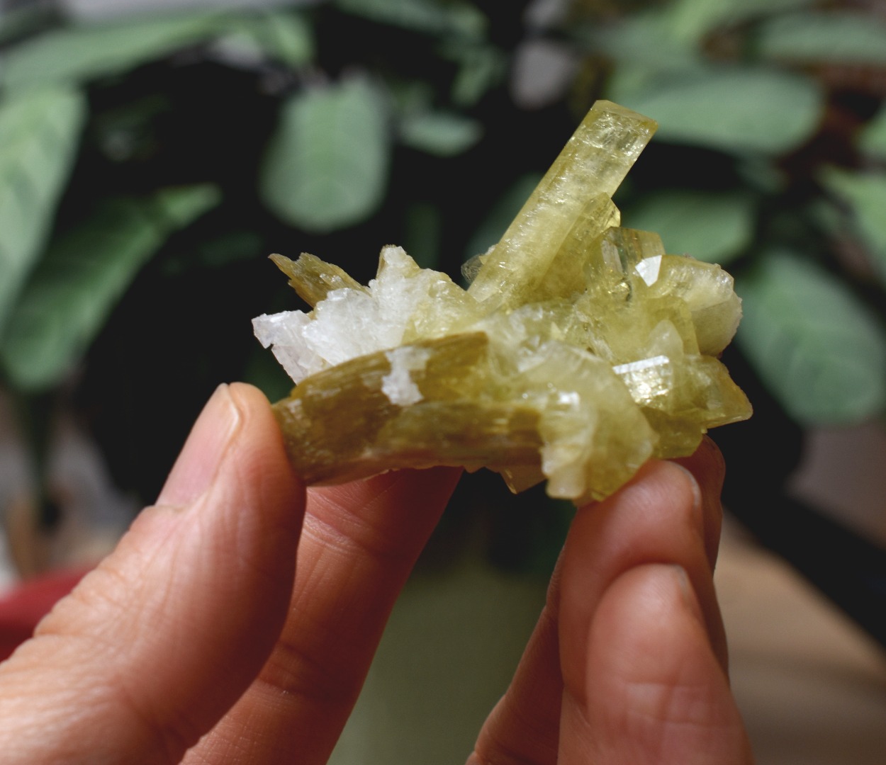Brazilianite Crystal Cluster with Albite & Muscovite - from Linopolis, Minas Gerais, Brazil, museum quality, 35g - Image 10