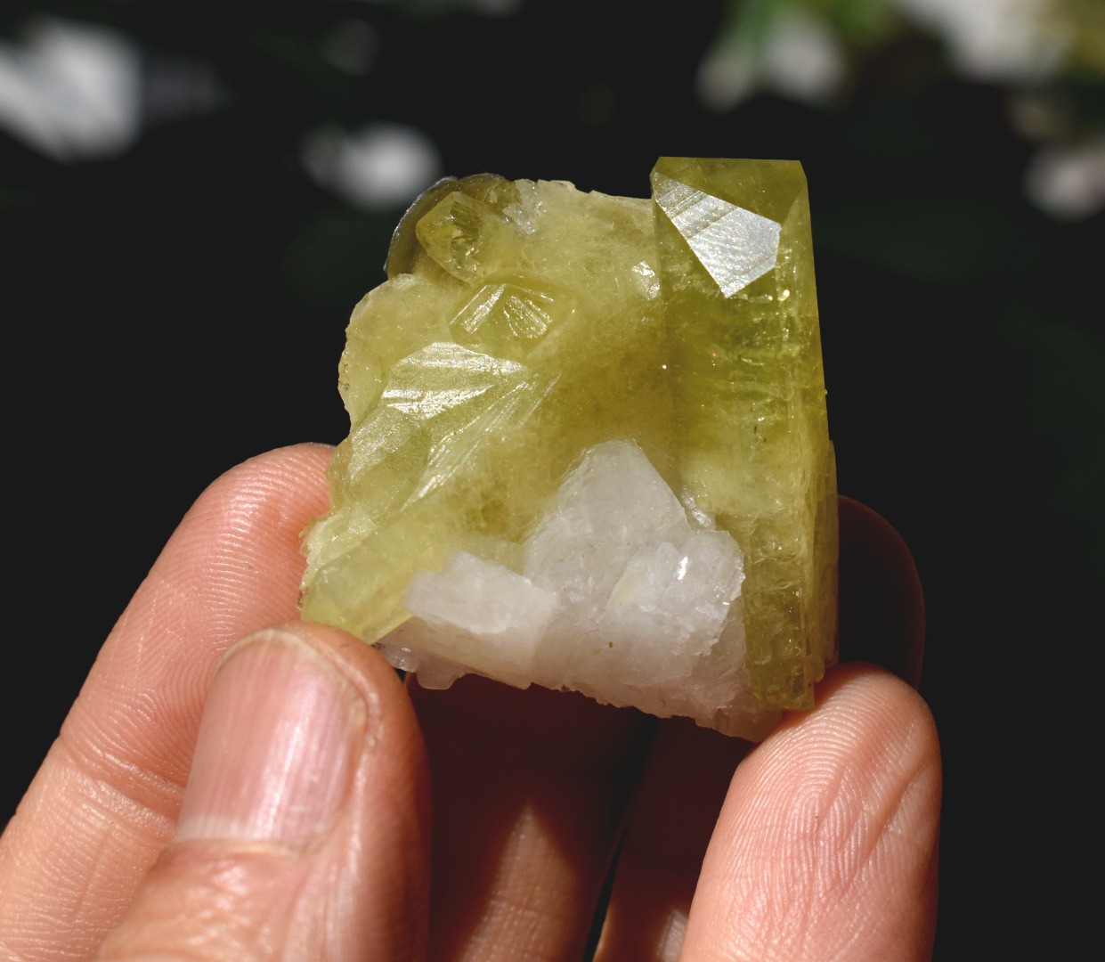 Brazilianite Crystal Cluster with Albite & Muscovite - from Linopolis, Minas Gerais, Brazil, museum quality, 27g - Image 6