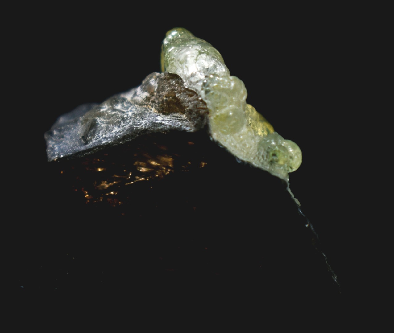 Fluorescent Hyalite Opal with Smoky Quartz - Mineral from Erongo Mountains Namibia, 5.7 grams - Image 6