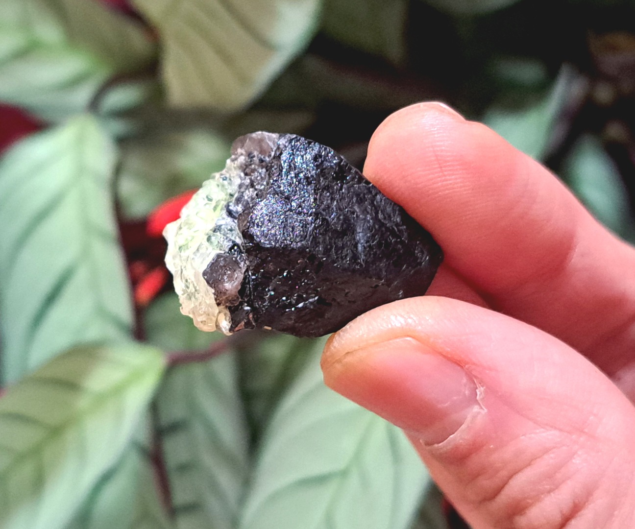 Fluorescent Hyalite Opal with Black Tourmaline - Mineral from Erongo Mountains Namibia, 13 grams