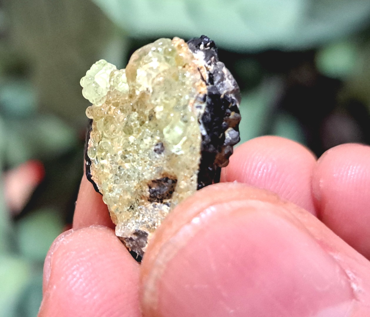 Fluorescent Hyalite Opal with Smoky Quartz, Black Tourmaline - Mineral from Erongo Mountains Namibia, 4 grams - Image 5