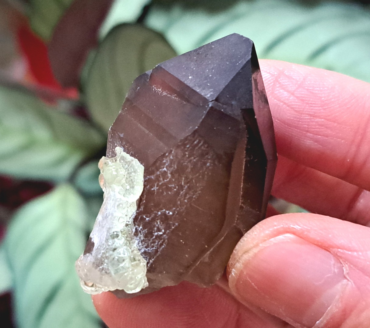 Fluorescent Hyalite Opal with Smoky Quartz - Mineral from Erongo Mountains Namibia, 28 grams - Image 7