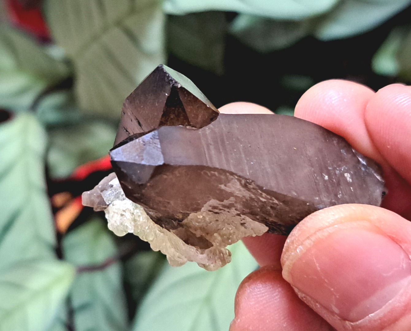 Fluorescent Hyalite Opal with Smoky Quartz - Mineral from Erongo Mountains Namibia, 26 grams - Image 10