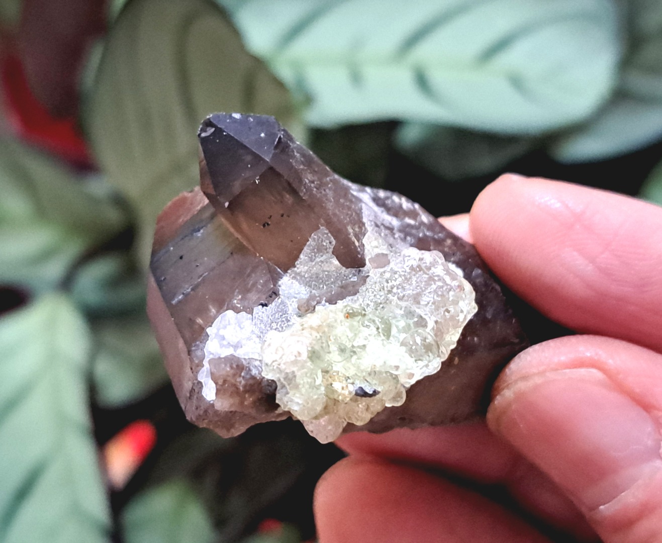 Fluorescent Hyalite Opal with Smoky Quartz - Mineral from Erongo Mountains Namibia, 26 grams - Image 6