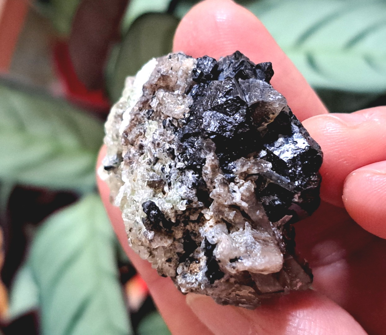 Fluorescent Hyalite Opal with Smoky Quartz, Black Tourmaline - Mineral from Erongo Mountains Namibia, 34 grams - Image 9