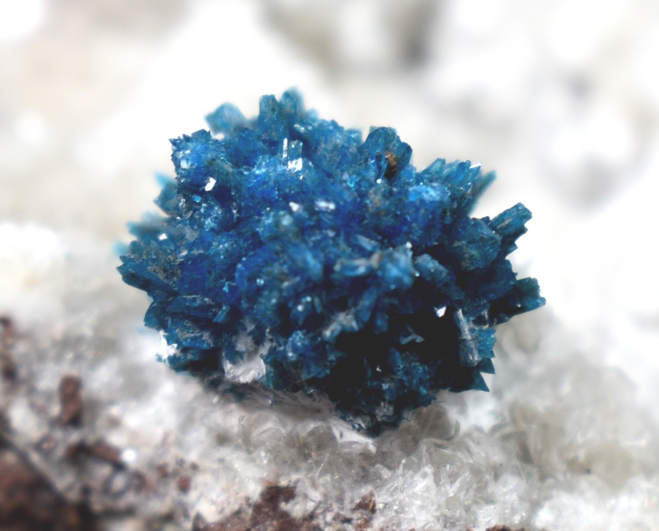 Rare Cavansite Cluster with Stilbite On Matrix from Wagholi, Pune, India - 169 grams - Image 6