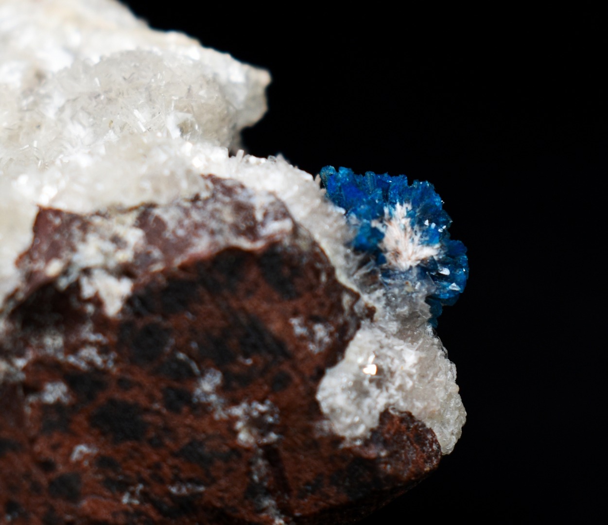 Rare Cavansite Cluster with Stilbite On Matrix from Wagholi, Pune, India - 169 grams - Image 7