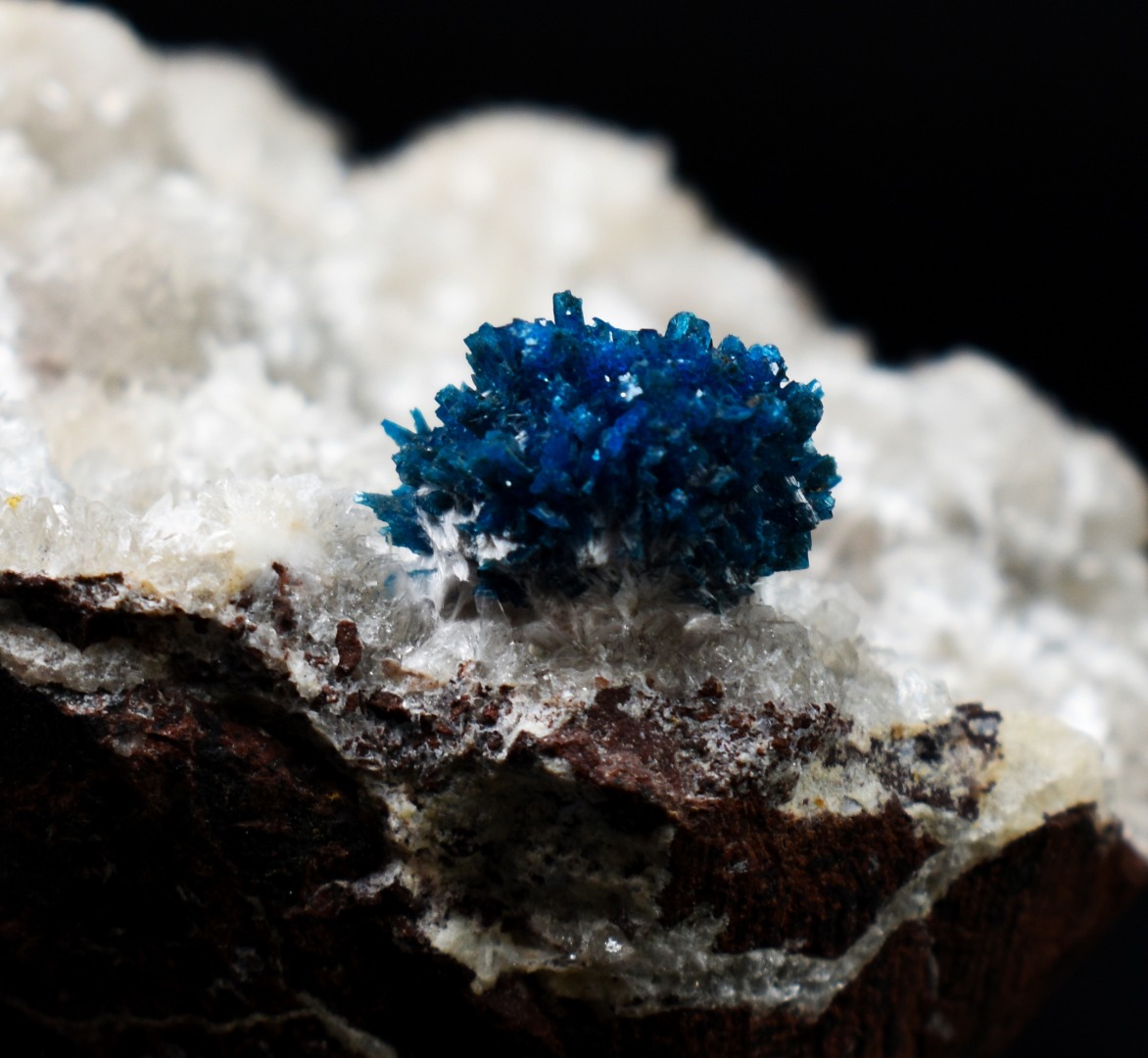 Rare Cavansite Cluster with Stilbite On Matrix from Wagholi, Pune, India - 169 grams - Image 4