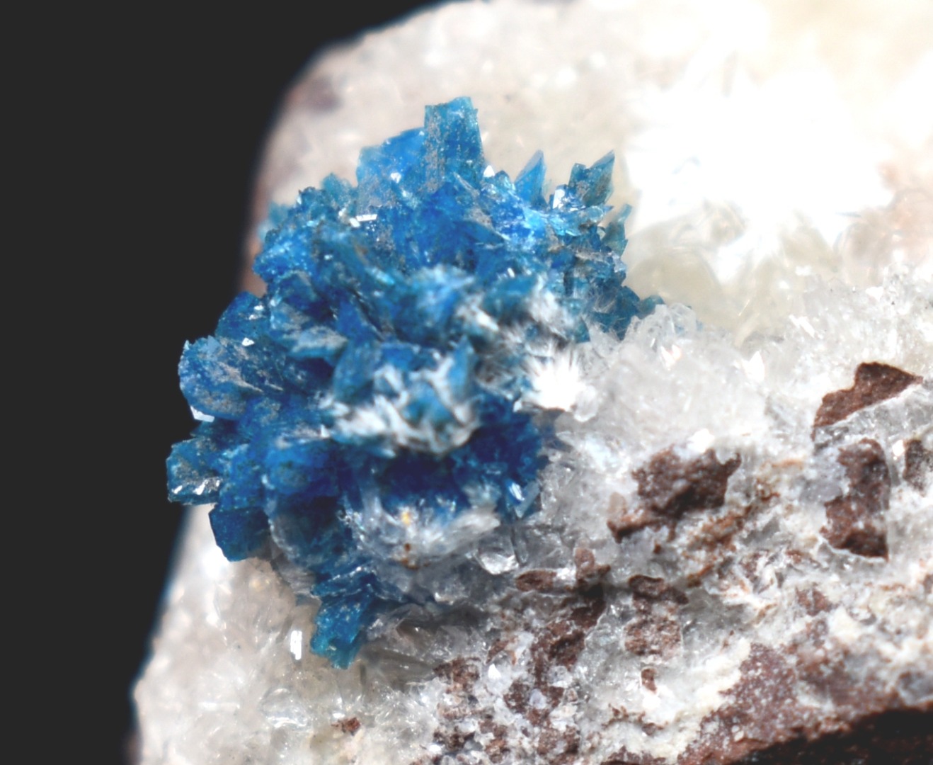 Rare Cavansite Cluster with Stilbite On Matrix from Wagholi, Pune, India - 169 grams - Image 2