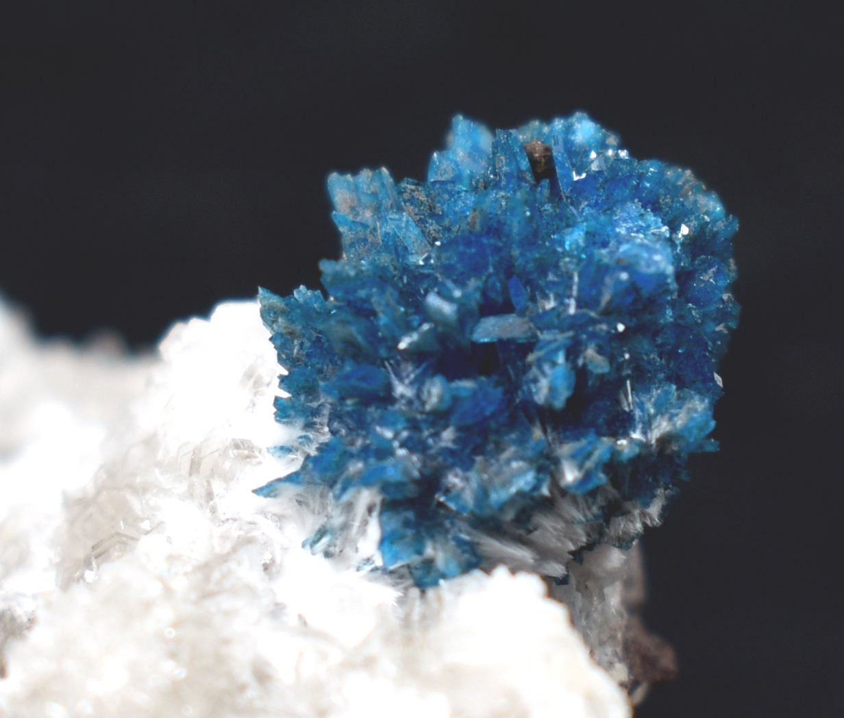 Rare Cavansite Cluster with Stilbite On Matrix from Wagholi, Pune, India - 169 grams - Image 5