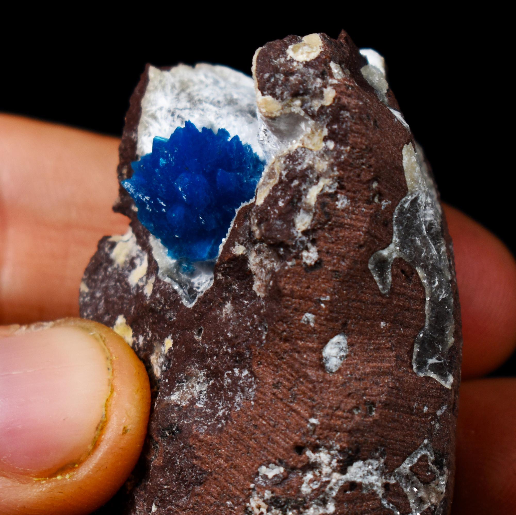 Rare Cavansite Cluster with Stilbite & Mordenite On Matrix from Wagholi, Pune, India - 57 grams - Image 8