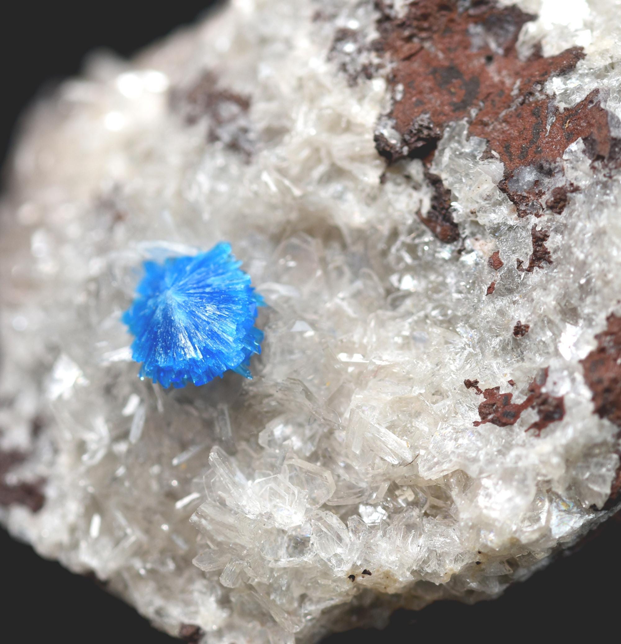 Rare Cavansite and Pentagonite Cluster with Stilbite On Matrix from Wagholi, Pune, India - 21 grams - Image 7