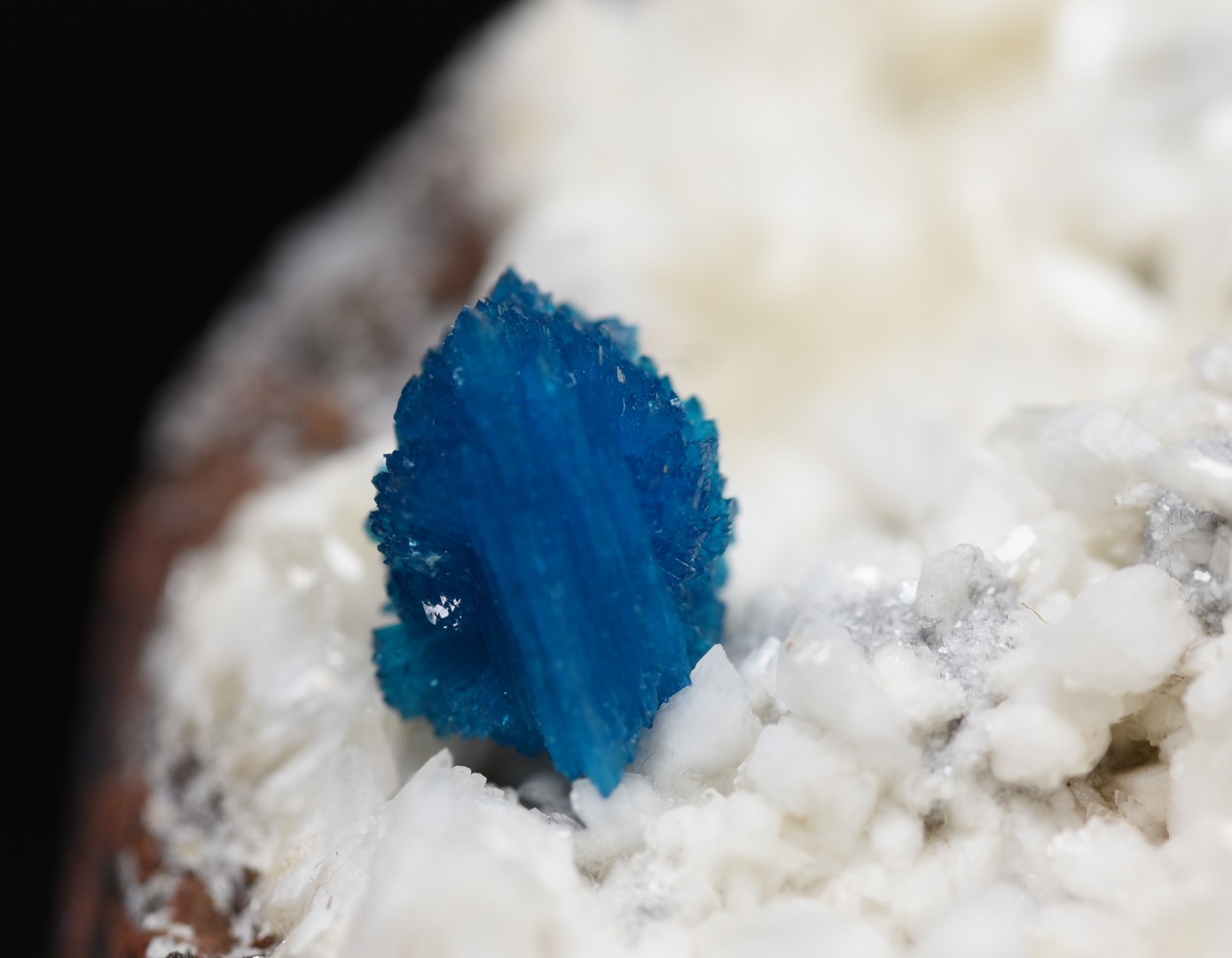Rare Cavansite Cluster with Stilbite On Matrix from Wagholi, Pune, India - 105 grams - Image 6