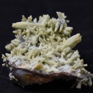 Rare Plumbogummite Cluster - Daoping Mine, China, Blue-Green Pseudomorphs after Pyromorphite - 11 grams