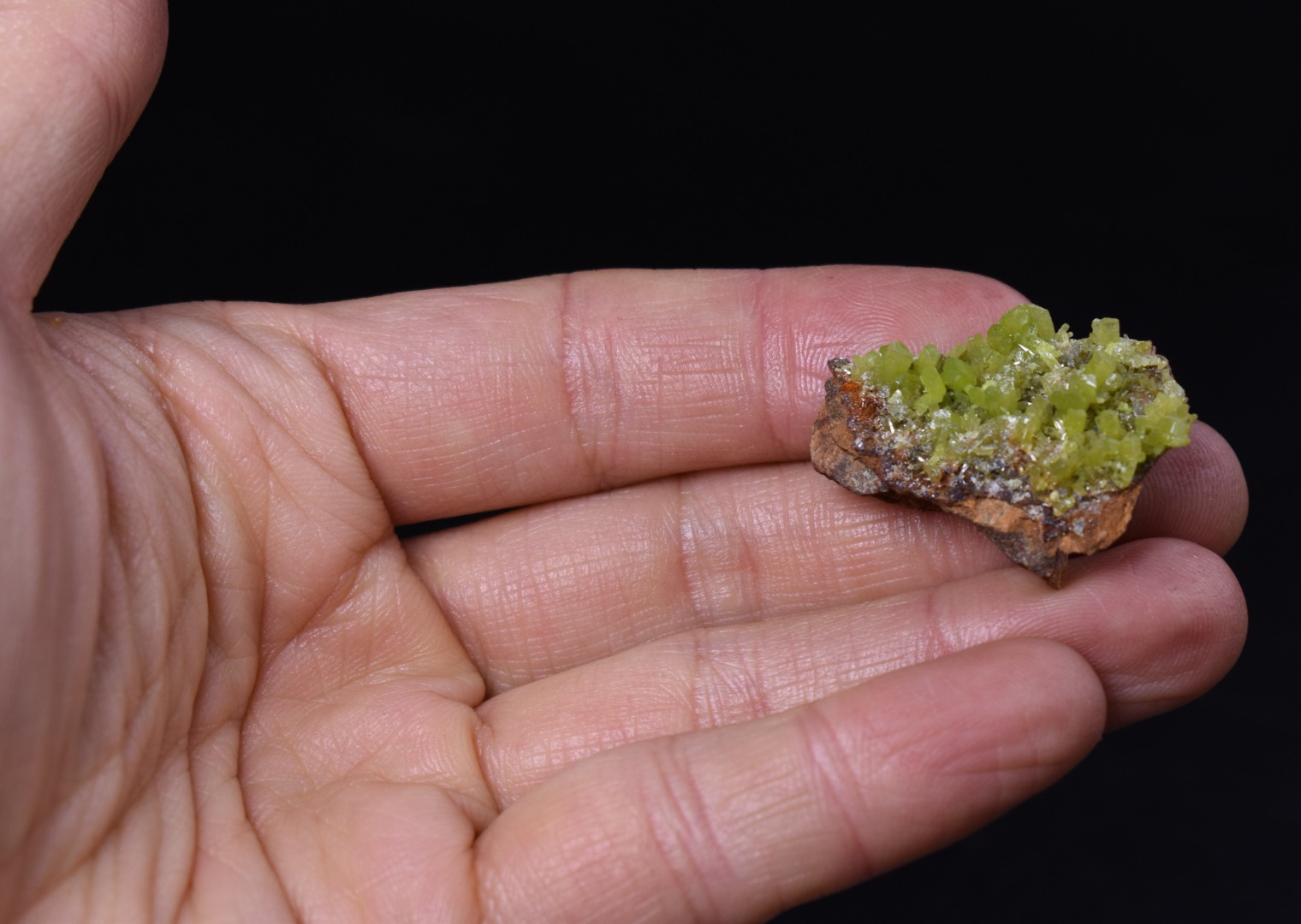 Lustrous Apple Green Pyromorphite Crystal - Daoping Mine, China - Rare - 9.7 grams - Image 10