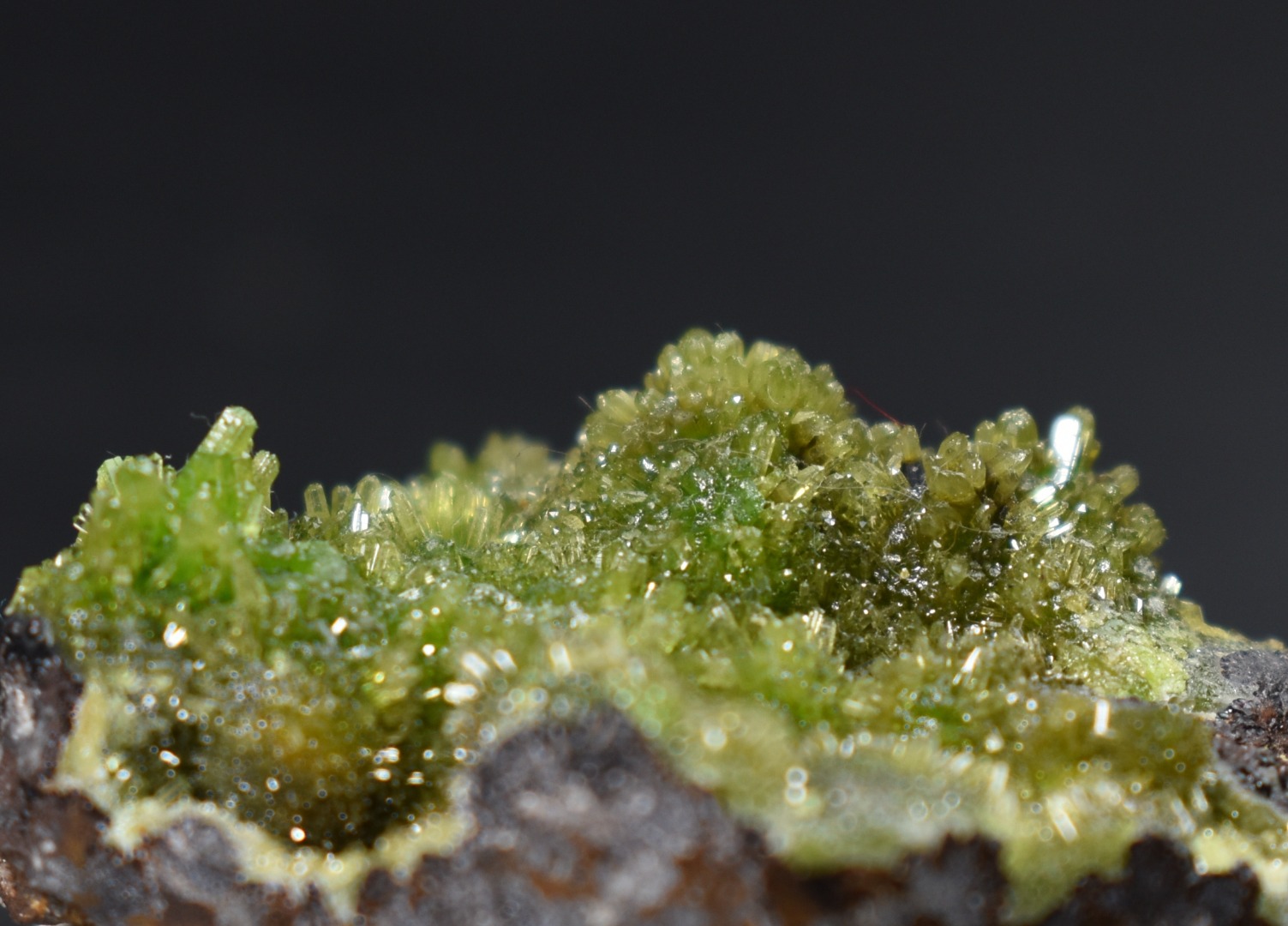 Lustrous Apple Green Pyromorphite Crystal - Daoping Mine, China - Rare - 18 grams - Image 3
